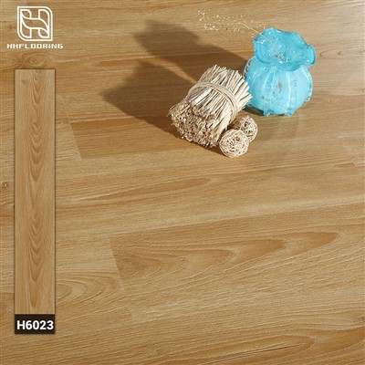 พื้น EIR SPC